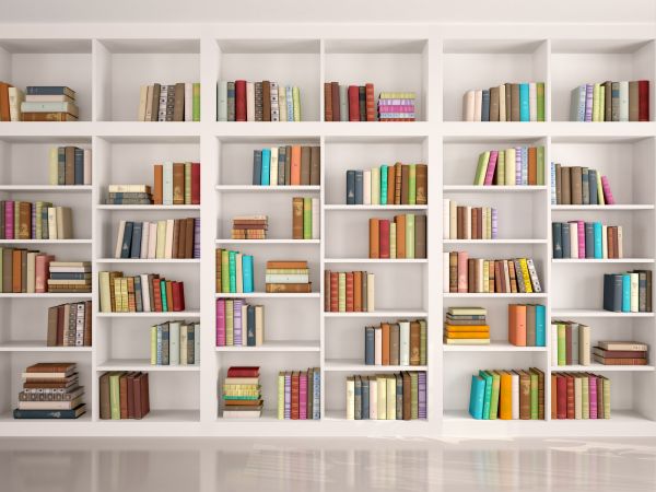 Bookshelf Assembly in Santa Clarita