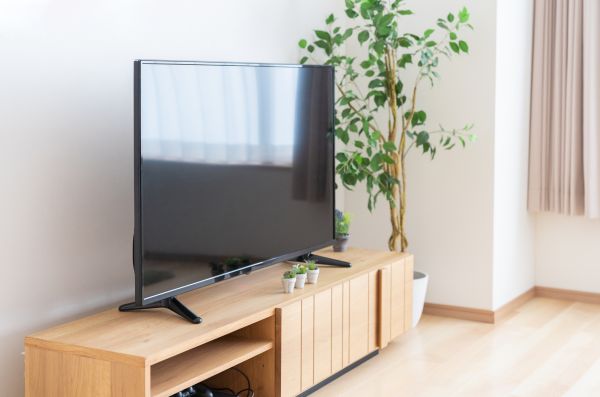 TV Stand Assembly in Santa Clarita